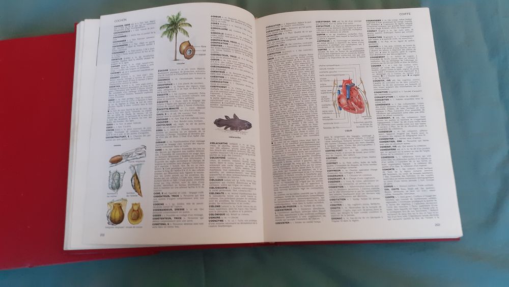 Lot de 2 dictionnaires : noms propres et noms communs Livres et BD