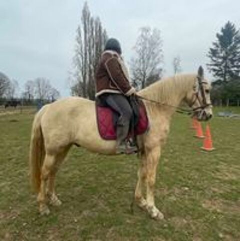   Cheval ONC 