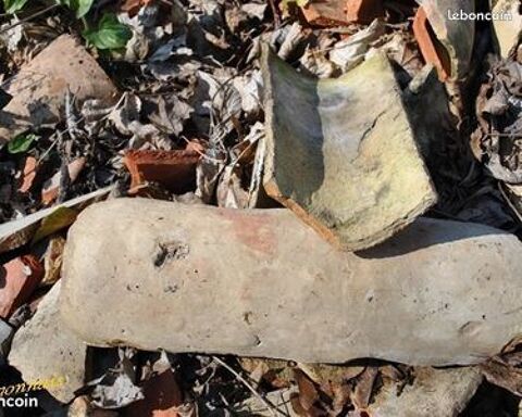 Accepte remblais gratuit vieilles TUILES Tige de Botte 0 Suzannecourt (52)