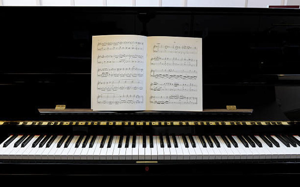   🎵 FONDS DE COMMERCE – MAGASIN D'INSTRUMENTS DE MUSIQUE 🎵 Bordeaux