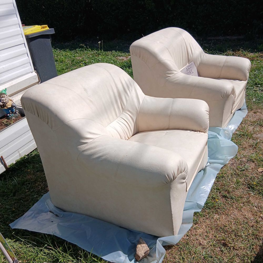 2 Fauteuils cuire Meubles