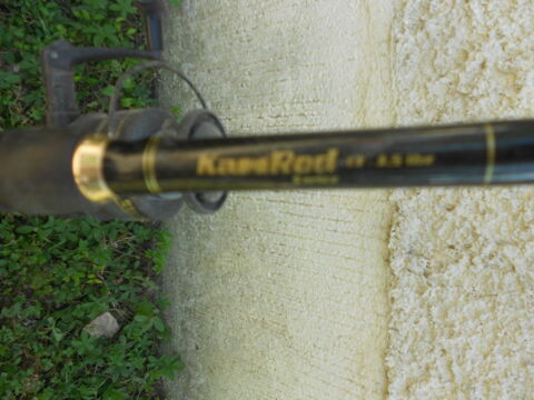 cannes Daiwa c 2300 full carbon 69 Lespignan (34)