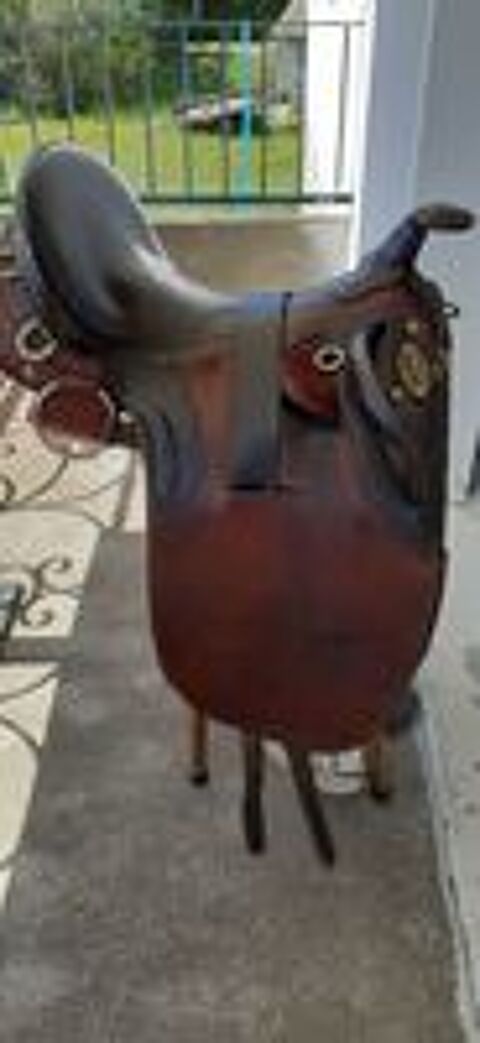   Selle de cheval  