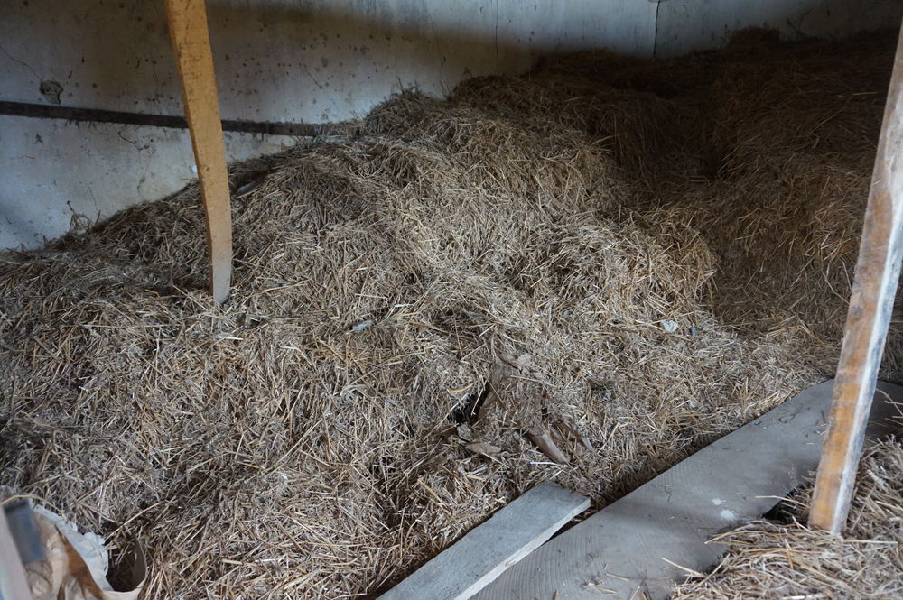 paille pour litii&egrave;res d'animaux Bricolage