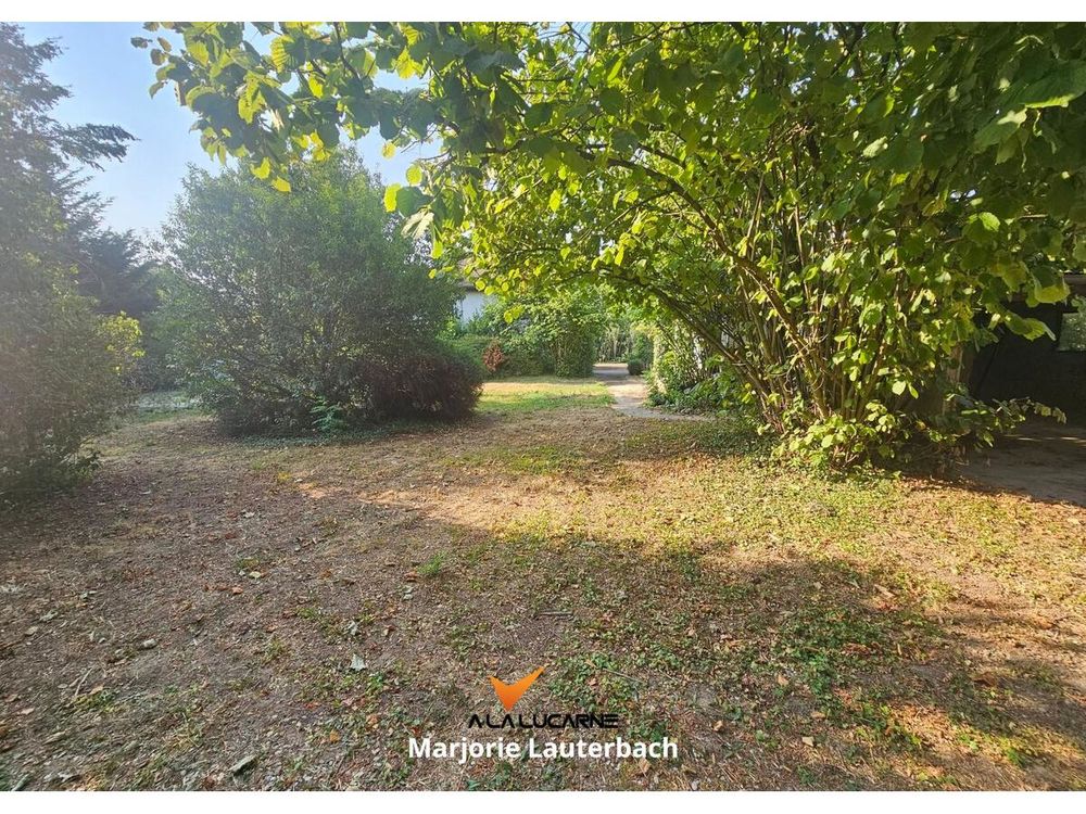 Vente Terrain Terrain Altorf