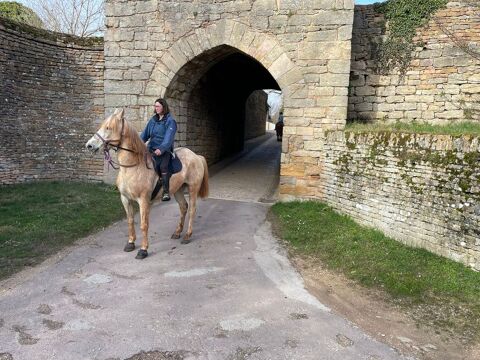 Cheval 1,63m 
3000 71260 Cruzille