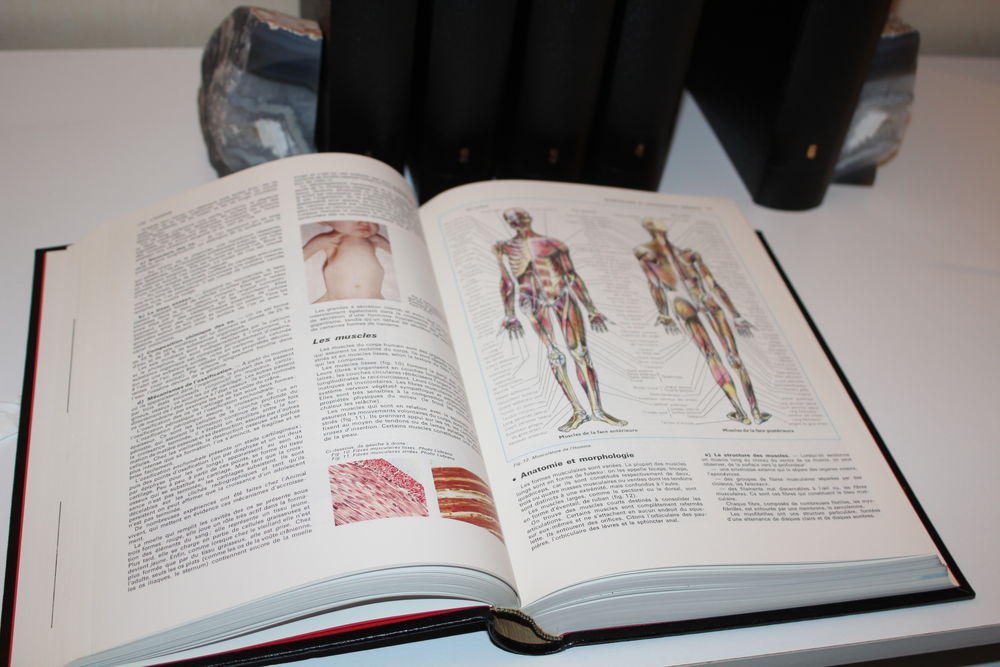 Encyclop&eacute;die Quillet 1976 