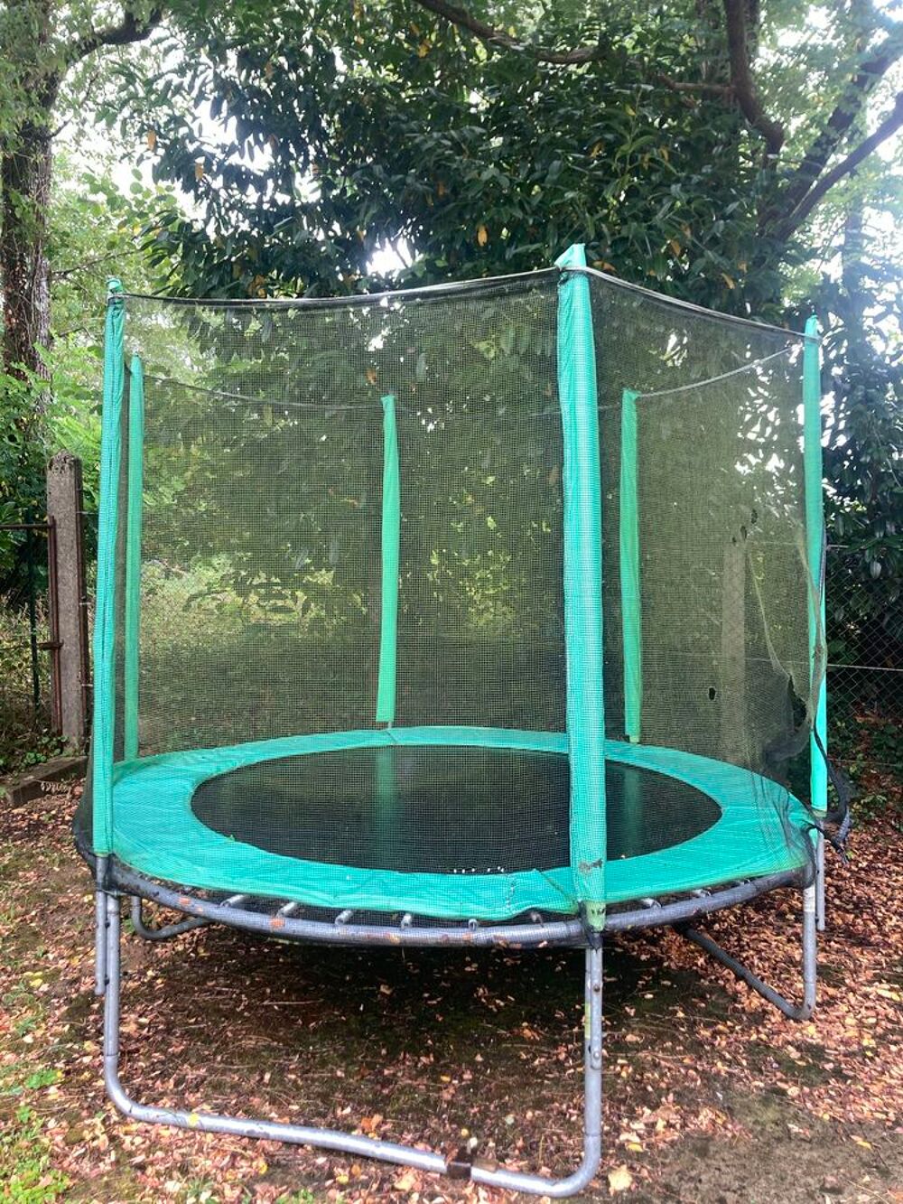 trampoline Sports