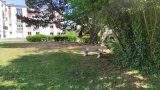  Appartement à louer 2 pièces 42 m²