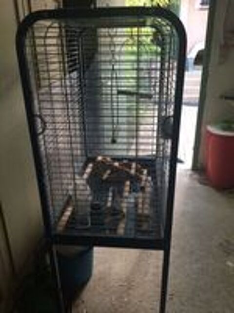   cage pour perroquets 