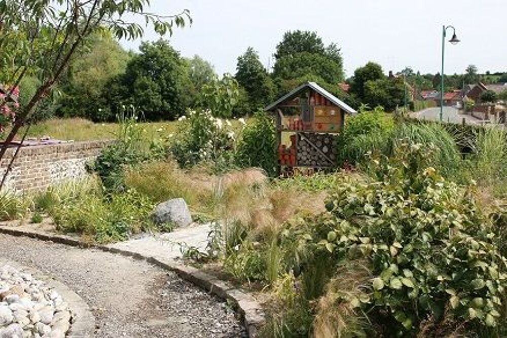 gramin&eacute;es Jardin