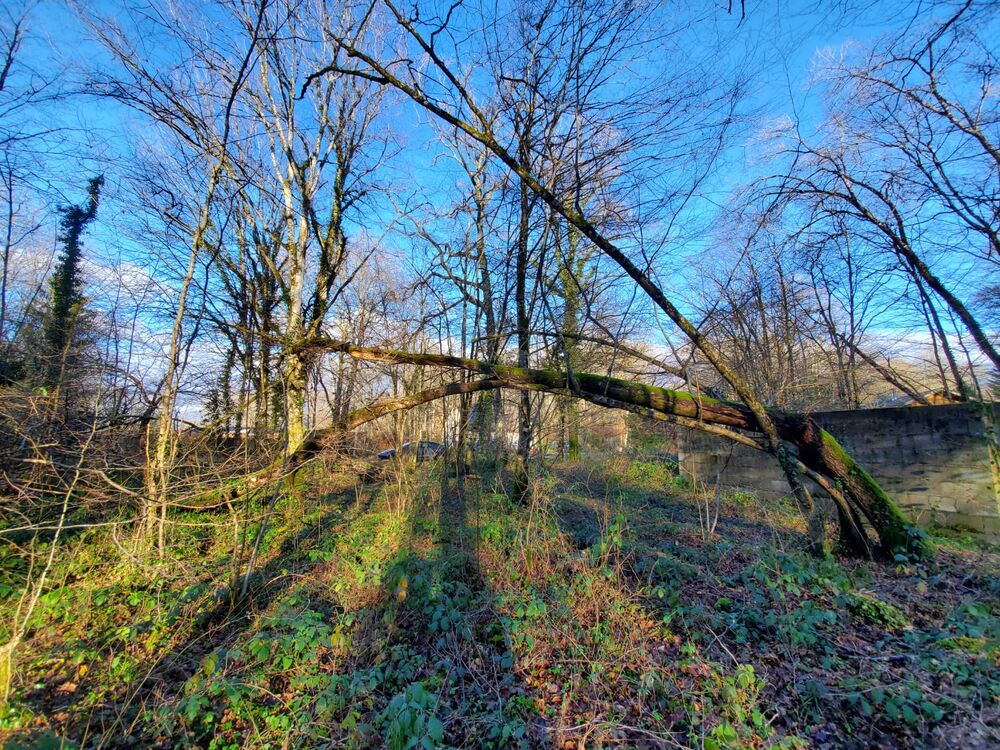 Vente Terrain Domaine de Breuil Ambert, Saint Fargeau 89. 