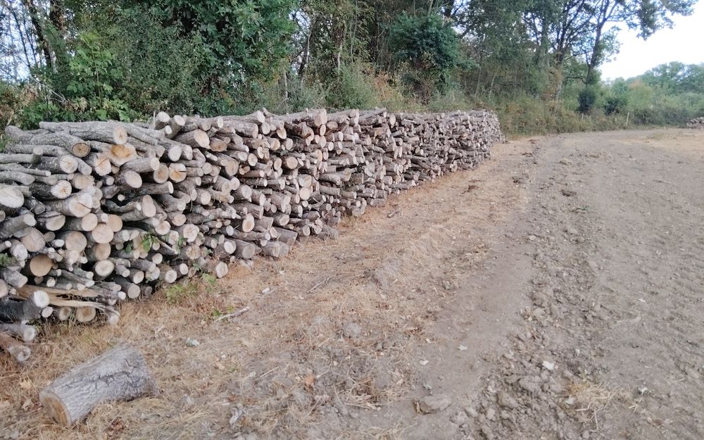 Bois de chauffage Bricolage
