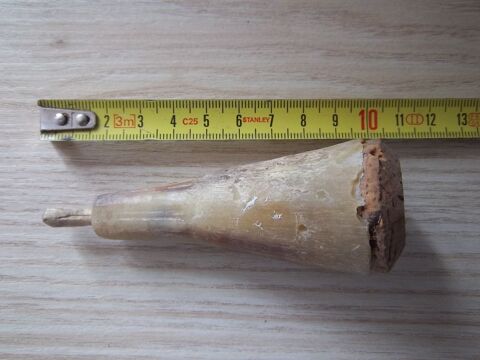 ancienne petite corne à poudre, bouchon en bois -Collection 15 Valognes (50)
