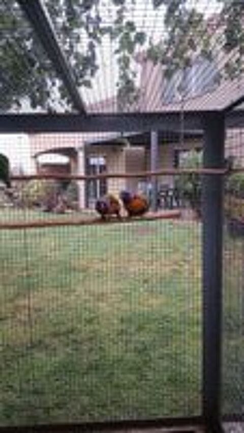   2 couples de lori 