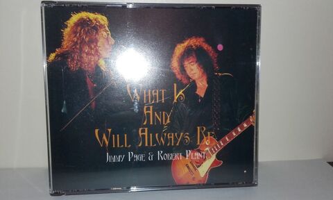 Jimmy Page / Robert Plant : What Is And What Will Always Be  30 Angers (49)