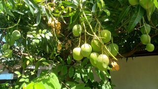  Colocation � louer 4 pi�ces 150 m�