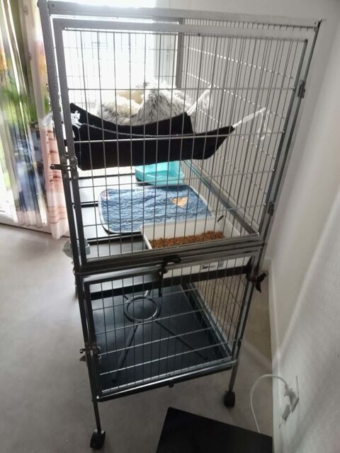 Cage furet 80 65000 Tarbes
