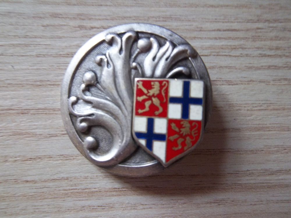 insigne collection intendance de la 5&deg;r&eacute;gion militaire (Drag 