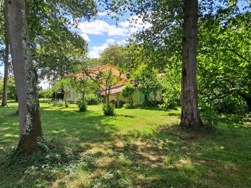 Vente Maison Maison familiale proche Mont de Marsan Saint-gein