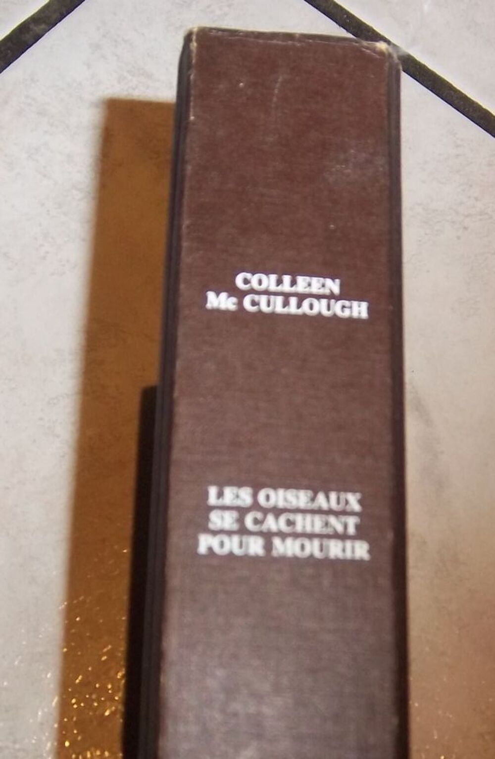 Les oiseaux se cachent pour mourir Livres et BD