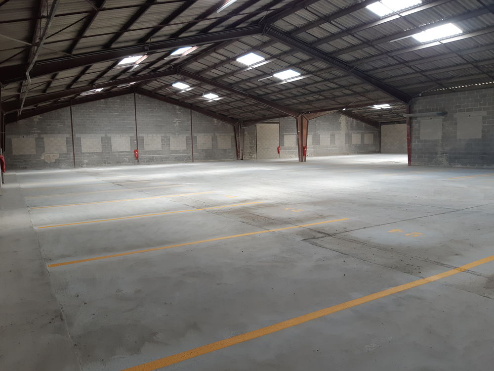   occasion 51140 Jonchery-sur-Vesle