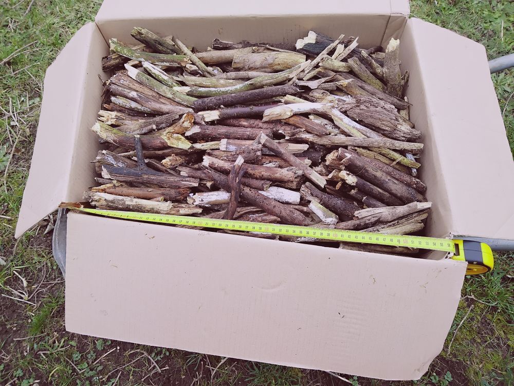 Petit bois d'allumage Jardin