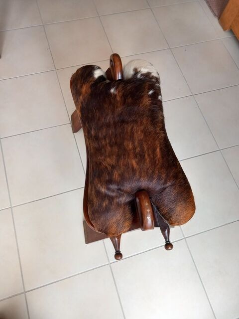 selle de chameau 60 Cayeux-sur-Mer (80)