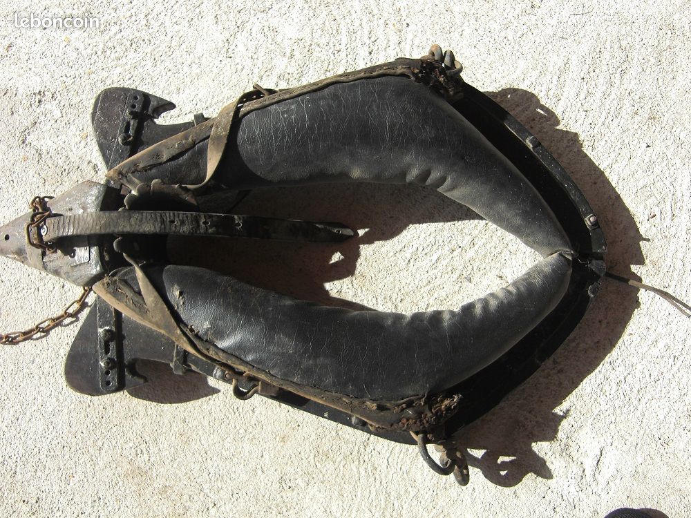 Collier de cheval de trait Décoration