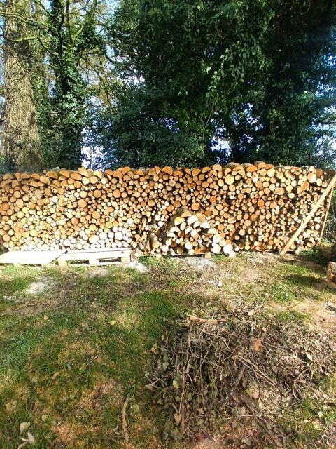 Bois de chauffage 200 Noyal-Muzillac (56)