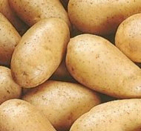 Pommes de terre 25kg 20 Pierrefontaine-les-Varans (25)