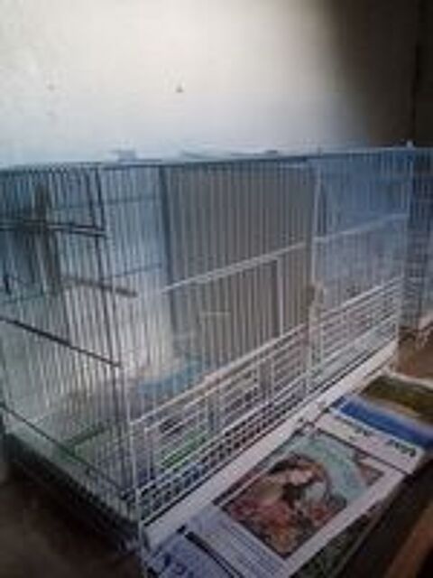   Cage d'élevage  