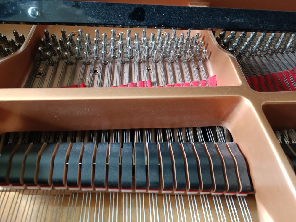 Yamaha C6 - 2006 - Piano &agrave; queue Instruments de musique