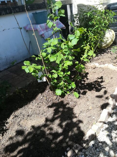 Nautisme Nautisme  occasion Caussade 82300