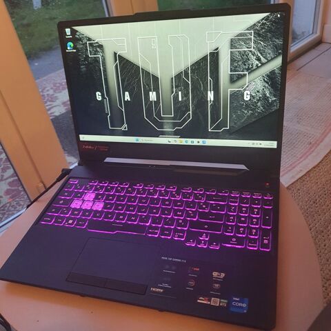 ASUS TUF Gaming F15 / i7 / RTX 3060 / 16 Go / 144 Hz 0 Martel (46)