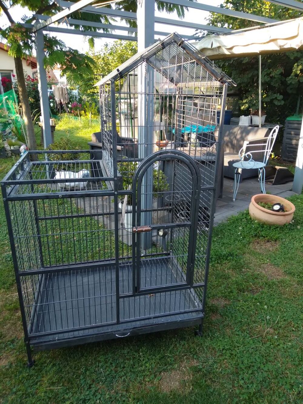   CAGE 