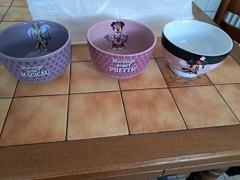 Bol Minnie Fée clochette Disney parc store café manga anime 8 Fèves (57)