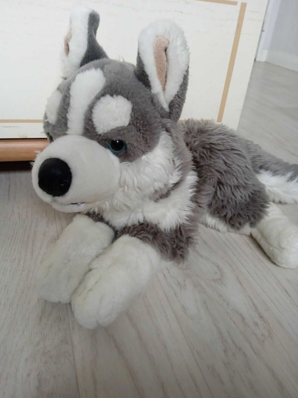 peluche chien husky Jeux / jouets