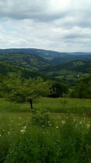  Propri�t�/ch�teau � vendre 3 pi�ces 155 m� Mojkovac