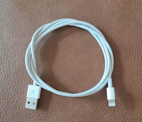 cble Apple lightning original pour iPhone longueur 1 mtre 5 Carnon Plage (34)
