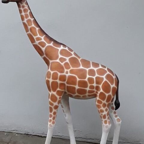girafe 0 Brive-la-Gaillarde (19)