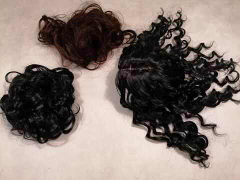 Perruque et ajouts 10 Jury (57)