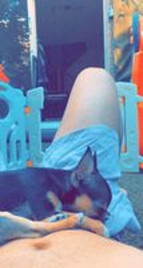   Cherche un don de chiot mâle ou femelle peut m'importe  