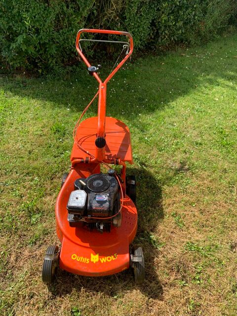 tondeuse thermique �  gazon 65 Albert (80)