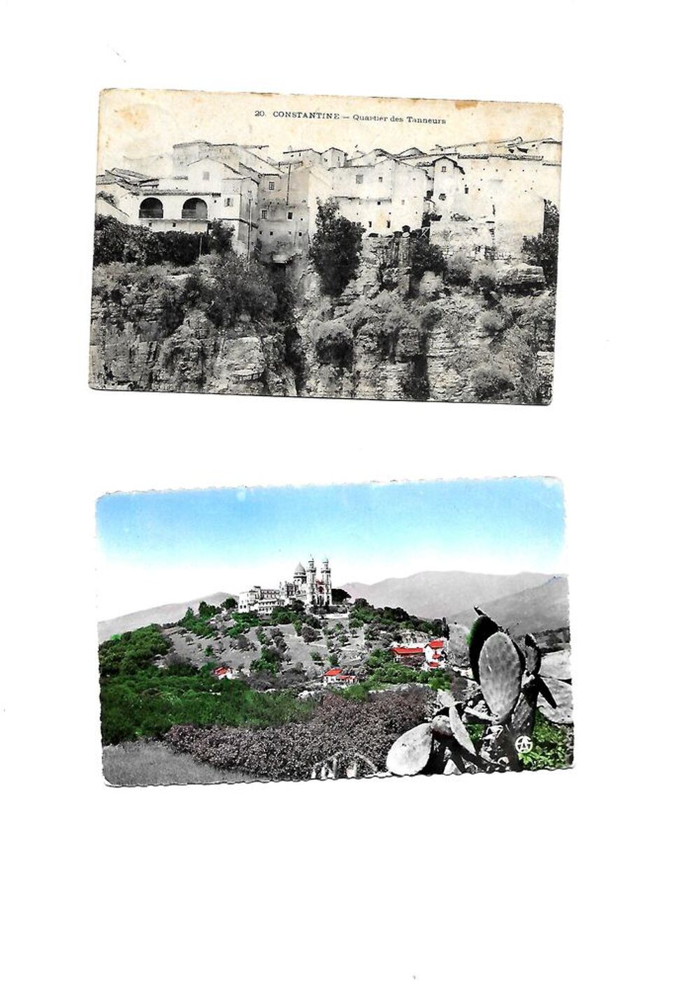 Cartes Postales d'ALGERIE ( avant 1962 ) 