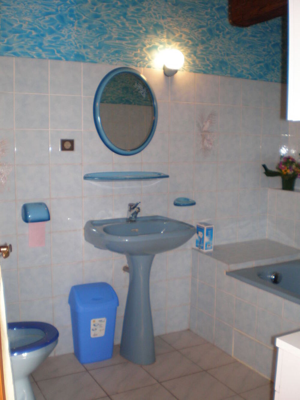   Maison individuelle cloturée Lorraine, Xonrupt-Longemer (88400)