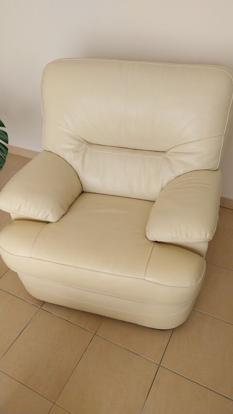 Fauteuil en cuir 80 Les Sables-d'Olonne (85)