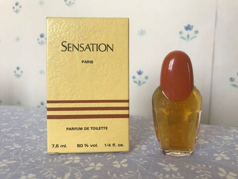 Miniature de parfum 5 Vincennes (94)