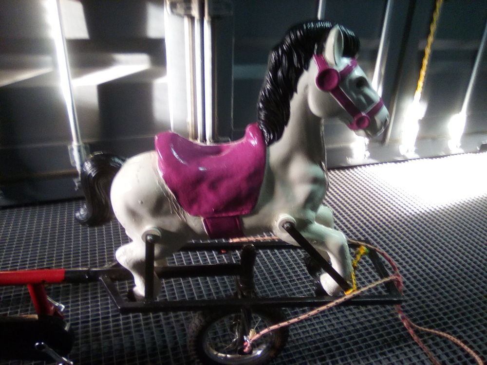 Cheval Sully enfant Vélos