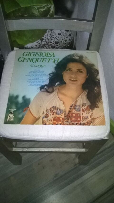 Vinyle Gigliola Cinquetti
L'Orage
1974
Excellent etat
L' 9 Talange (57)